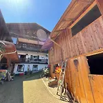 Drexler By Interhome Apartment